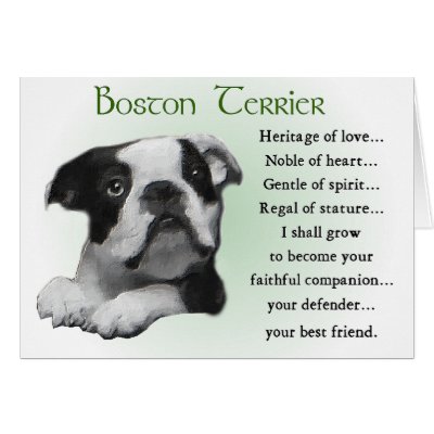 Boston Terrier Gifts Greeting Card by DogsByDezign
