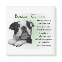 Boston Terrier Gifts Fridge Magnets