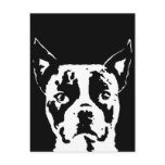 Boston Terrier Gifts - Postcard