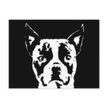 Boston Terrier Gifts -  Postcard