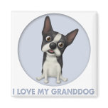 Boston Terrier Granddog magnets