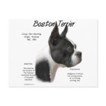 Boston Terrier History Design