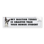 Boston Terrier Honour