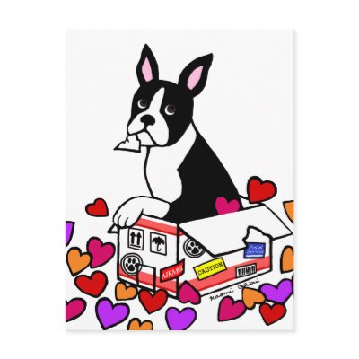 Boston Terrier in the Box Cartoon Postcards by lovepups
