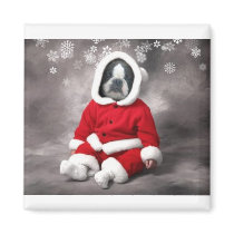 BOSTON TERRIER IN XMAS OUTFIT FRIDGE MAGNETS