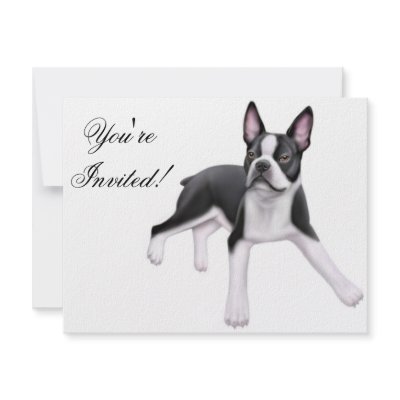 Boston Terrier Invitation by twopurringcats