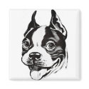 Boston Terrier Magnet