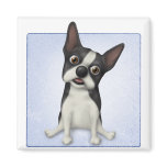 Boston Terrier