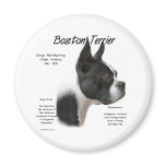 Boston Terrier Meet the Breed - Magnet