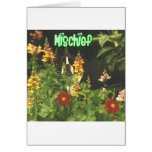 Boston Terrier:  Mischief Card