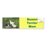 Boston Terrier Mom Bumper Sticker Ducks