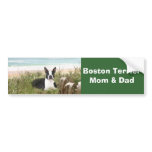 Boston Terrier Mom & Dad Bumper Sticker Beachgrass