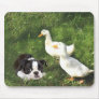 Boston Terrier Mousepad Ducks