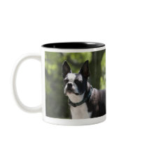Boston Terrier Coffee Mug
