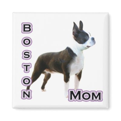 Boston  Terrier Mum 4  - Magnet by GreyWolfCreation