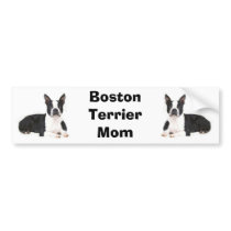 Boston Terrier Mum Bumper Sticker