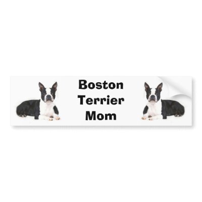 Boston Terrier Mum Bumper Sticker by normagolden