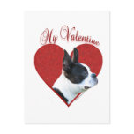 Boston Terrier My Valentine Postcard