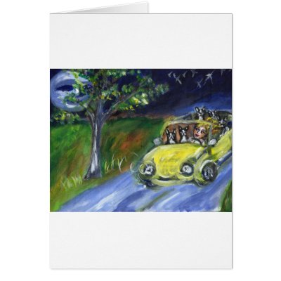 Boston Terrier nighttime car ride Card by zadajeanne