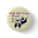 Boston Terrier "Non-Sporting Breed"