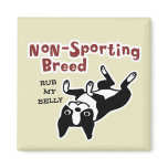 Boston Terrier "Non-Sporting Breed"