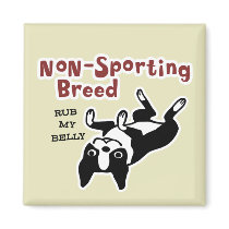 Boston Terrier "Non-Sporting Breed"