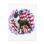 Boston Terrier Patriot Postcard