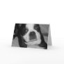 Boston Terrier Pet Sympathy Cards
