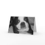 Boston Terrier Pet Sympathy Cards