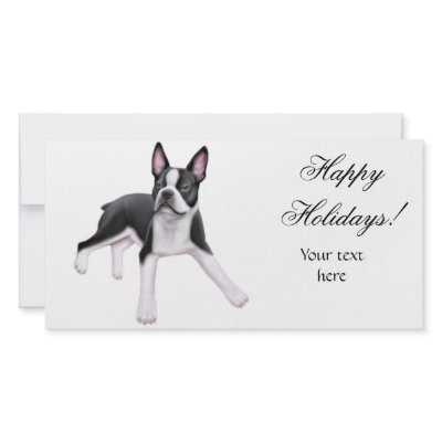 Boston Terrier Photo Card by twopurringcats