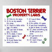 BOSTON TERRIER PL2