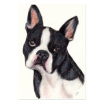 Boston Terrier Portrait ACEO Art Trading Cards Business Card Template