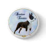 Boston Terrier Portrait buttons