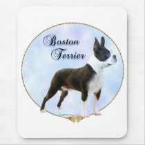 Boston Terrier Portrait