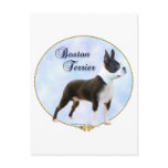 Boston Terrier Portrait