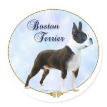 Boston Terrier Portrait Sticker