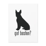 Boston Terrier Post Card