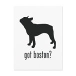 Boston Terrier Post Cards