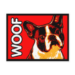 Boston Terrier Postcard