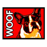 Boston Terrier Postcard