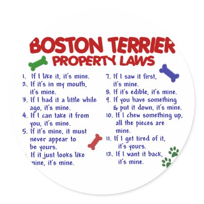 Boston Terrier Property Laws 2 by poochloverstuff