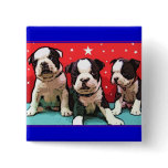 Boston Terrier puppies button