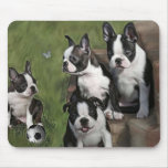 Boston Terrier Puppies Mouse Mats