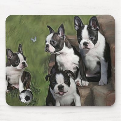 Boston Terrier Puppies Mouse Mats by Cazzies_Creations