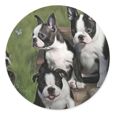 Boston Terrier Puppies Round Sticker by Cazzies_Creations