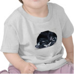 Boston Terrier Puppies Tee Shirts