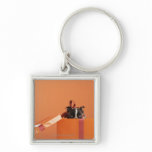 Boston terrier puppy in gift box keychains