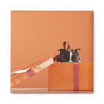 Boston terrier puppy in gift box fridge magnets