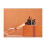 Boston terrier puppy in gift box post card