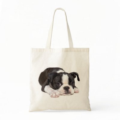 Boston Terrier Puppy Tote Bag by normagolden